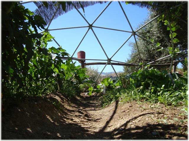 Geodesic Dome Greenhouse